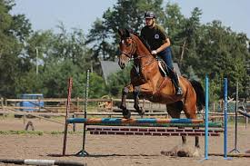 COMING SOON — foto 4