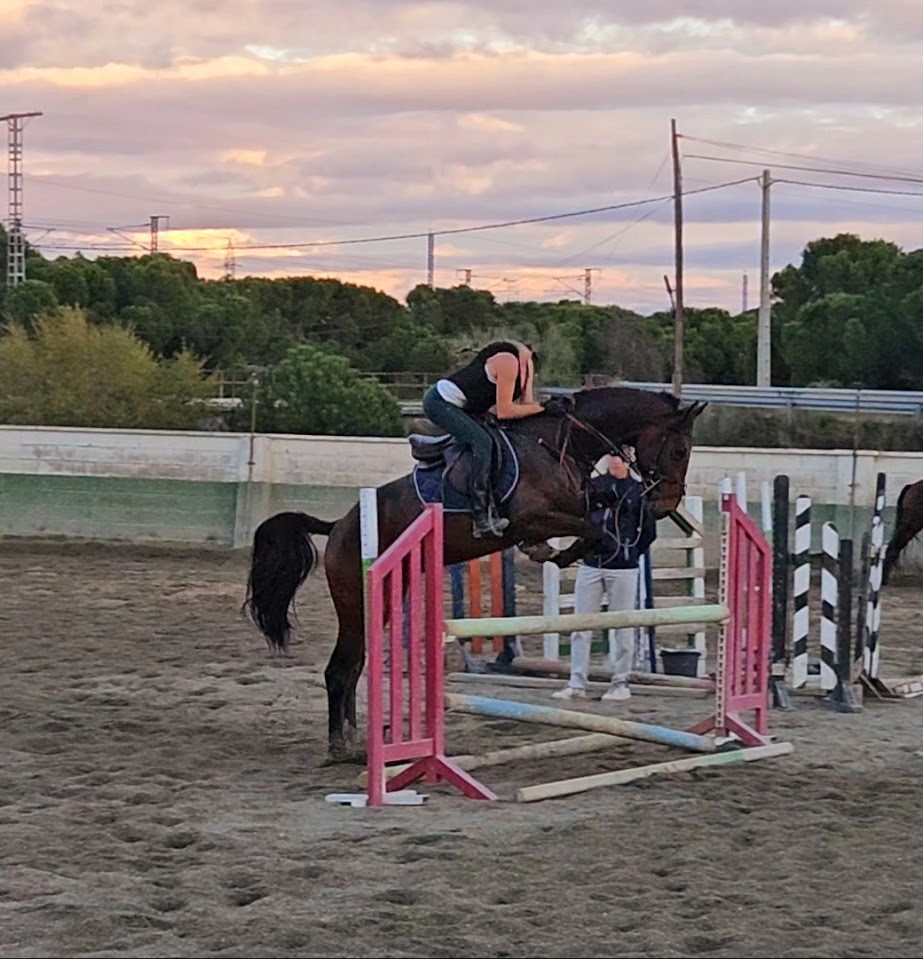 Escobar Van Hof Ten Bos Z — 3