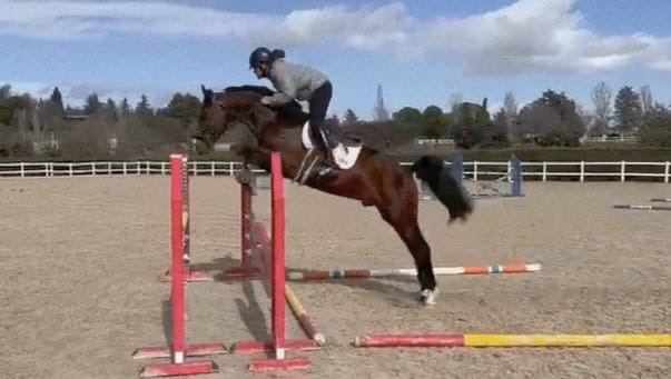 Escobar Van Hof Ten Bos Z — 6