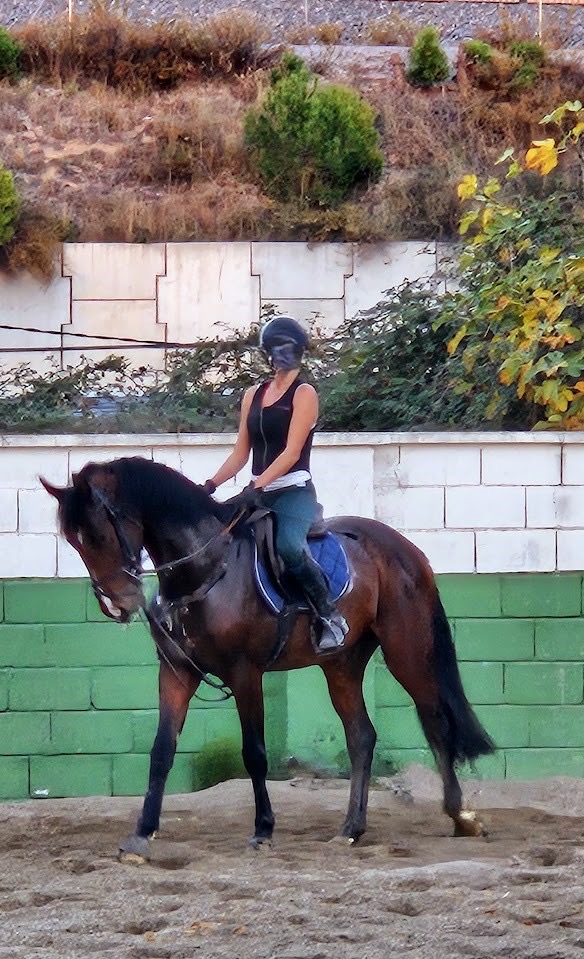 Escobar Van Hof Ten Bos Z