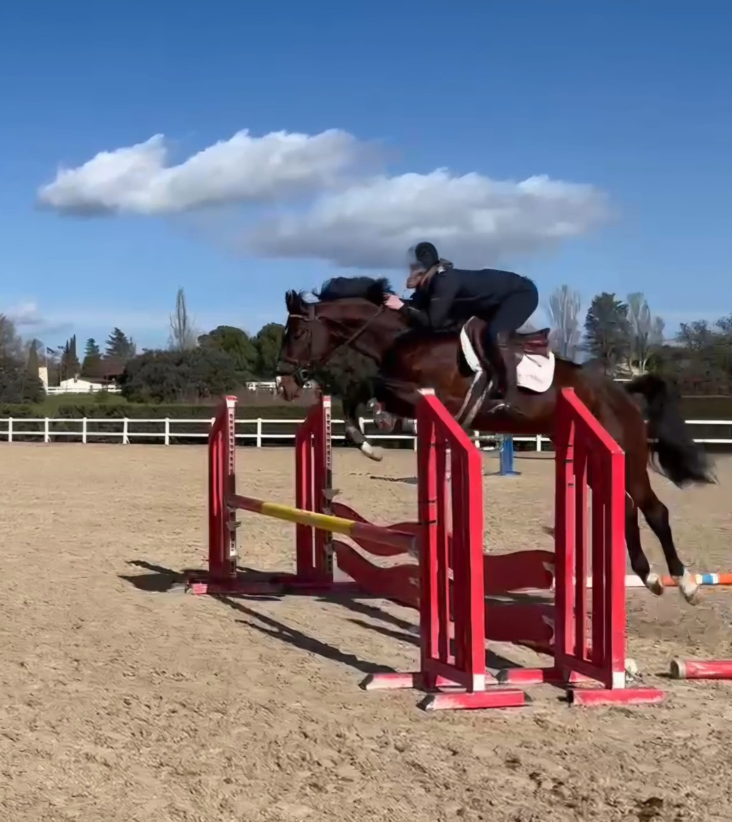 Escobar Van Hof Ten Bos Z — 4