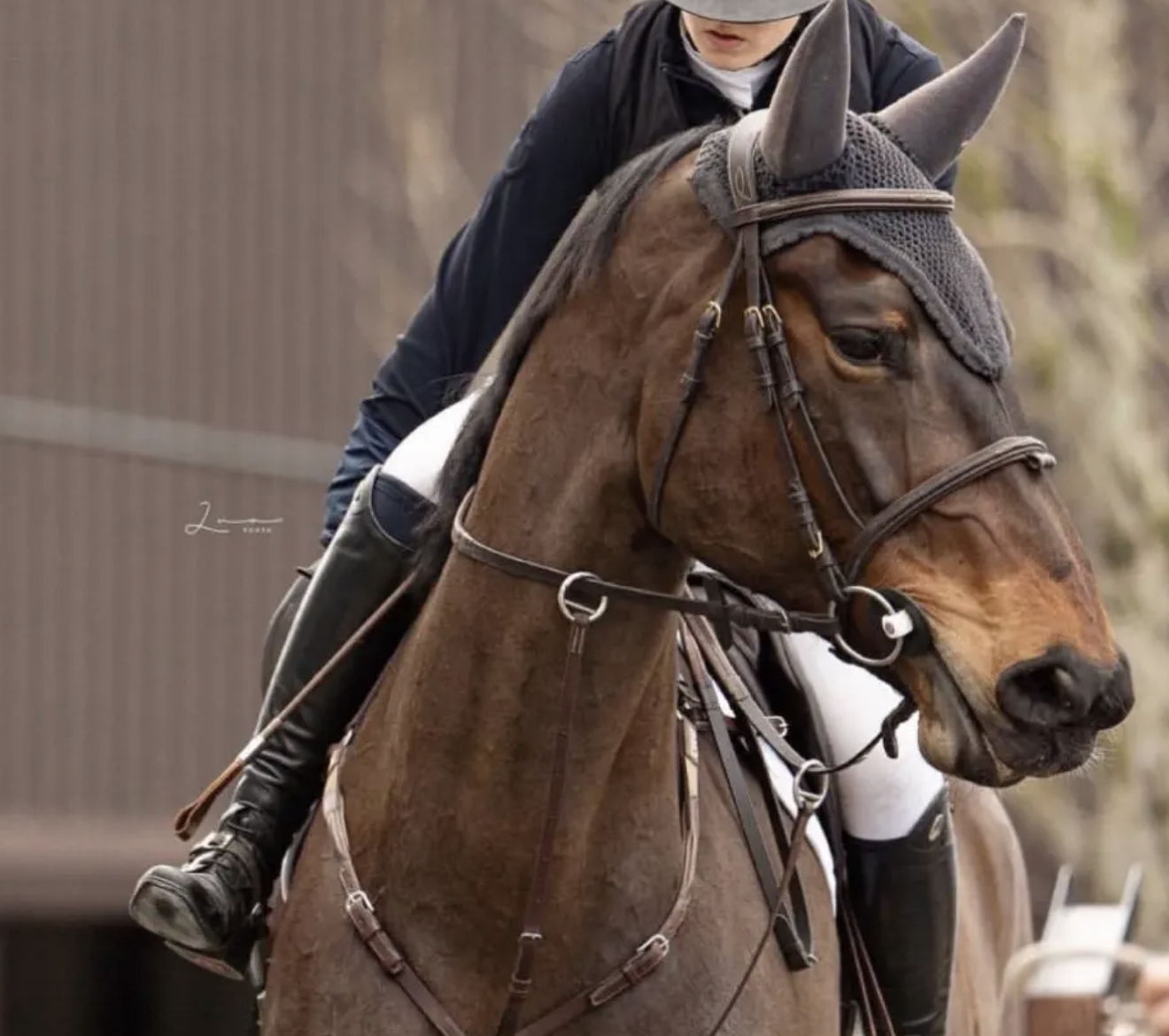 Daenerys Lerchenberg — 5