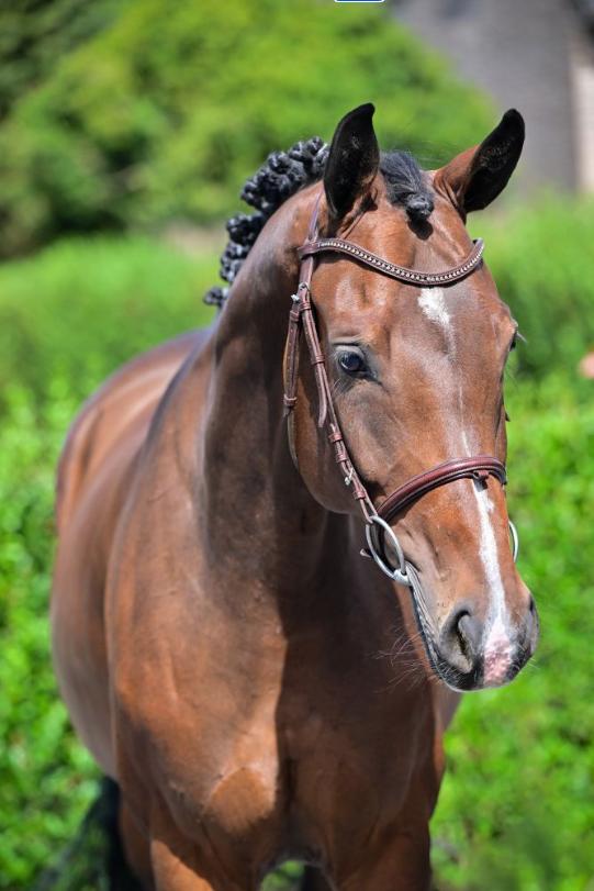 Call me little hope 2