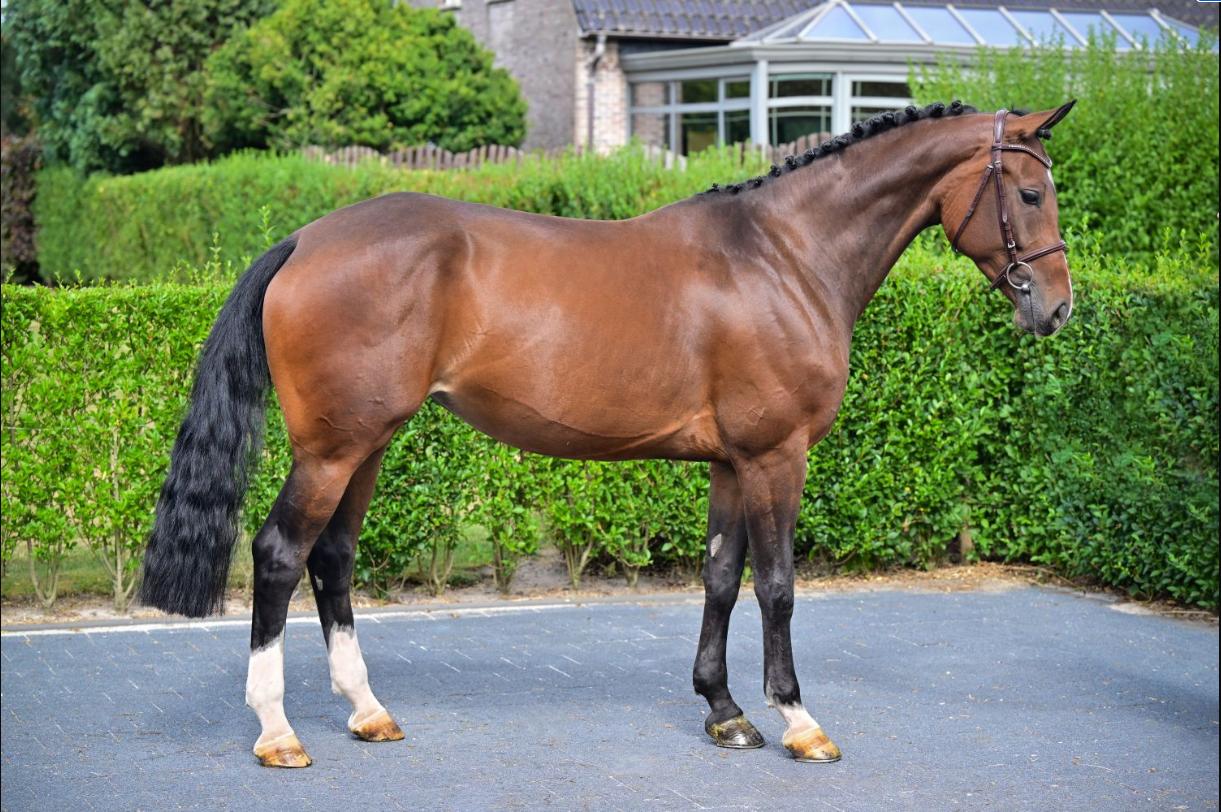 Call me little hope 2 — 3