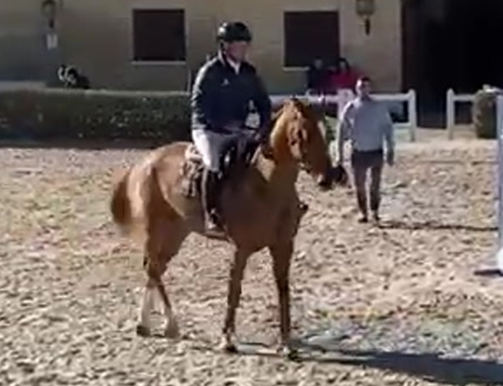 Mini Capote