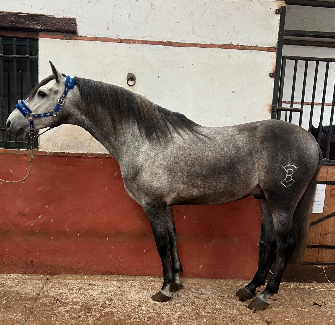 Aceitero — foto 1