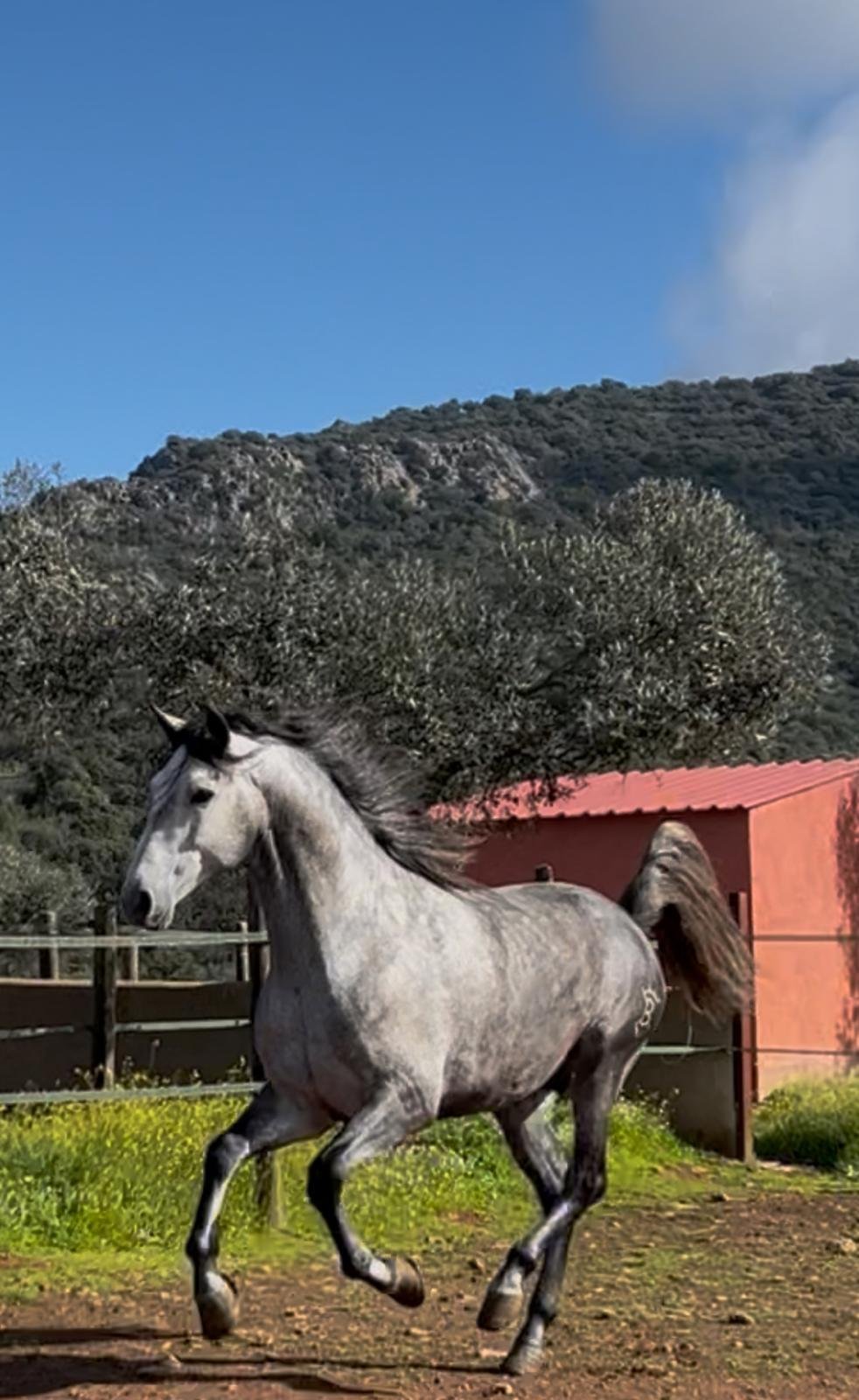 Aceitero — foto 5