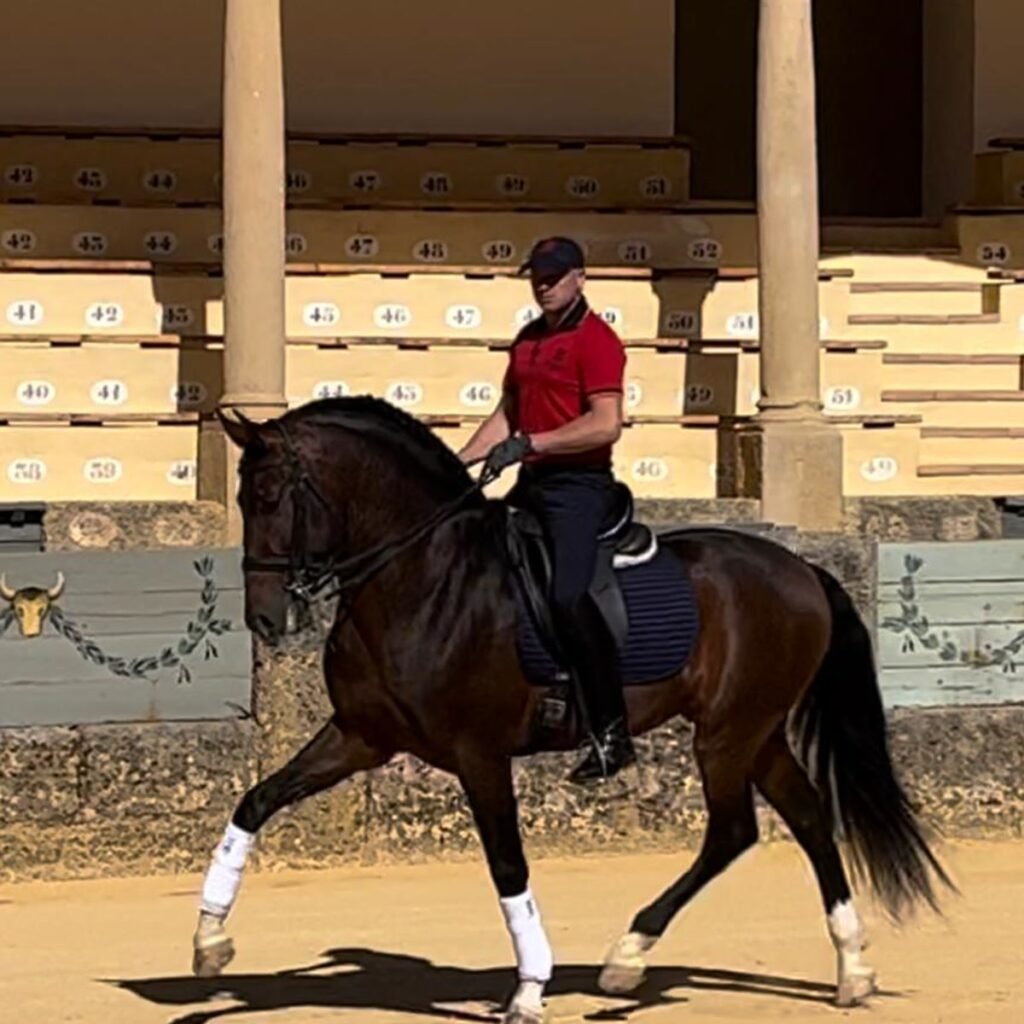 Calcetero III