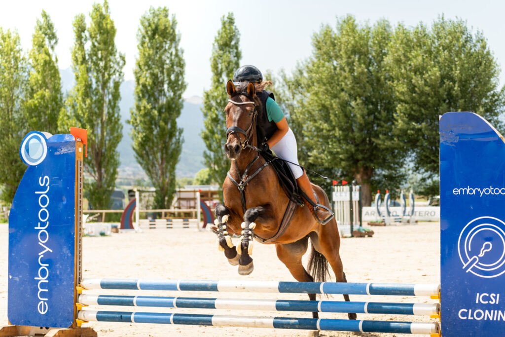 Casta 2