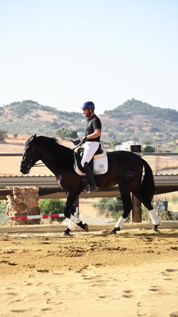 Pegaso de Ávila