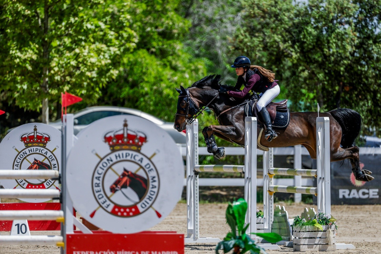 Robinna TS — foto 4